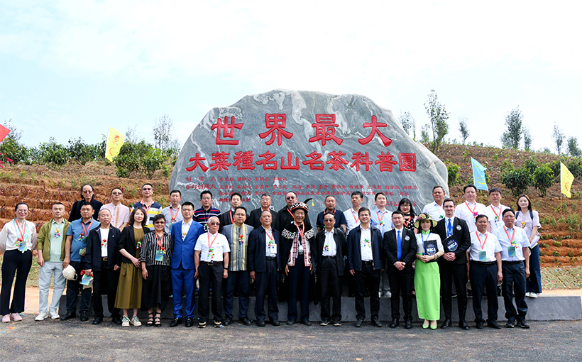 世界最大大叶种名山名茶科普园(图2）