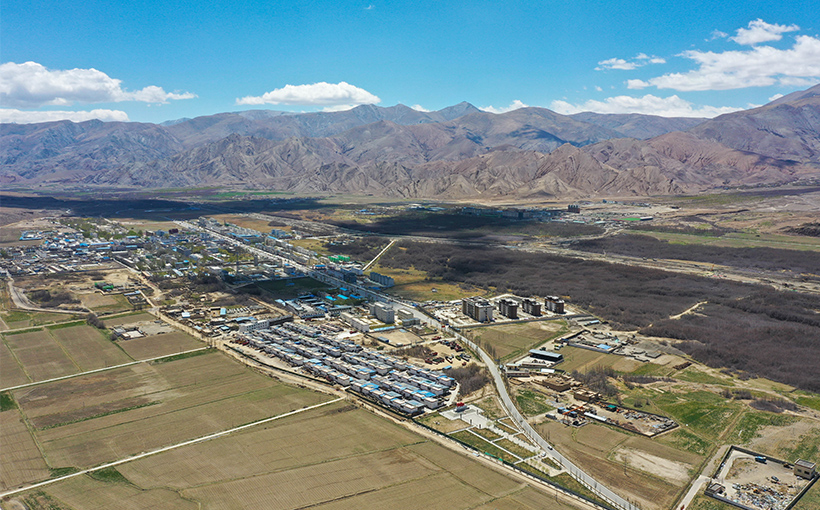 世界最大的黑青稞种植基地(图1）