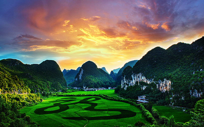 世界最大的植物汉字景观