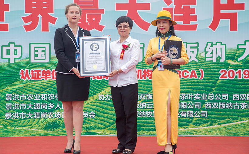 世界最大连片茶园