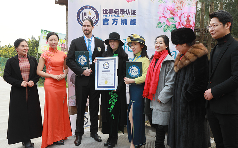 世界最大规模的穿旗袍采摘文旦