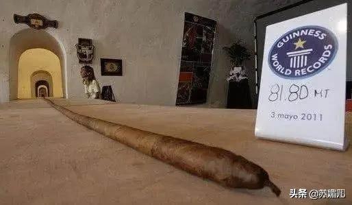 30个“超级震撼”的世界纪录！看完仍然难以置信