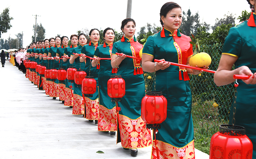 最大规模的穿旗袍采摘文旦(图5）