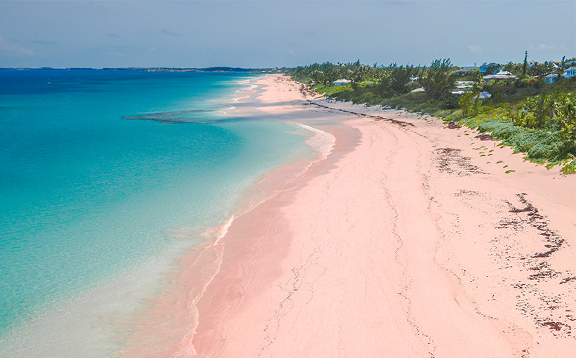 世界影响力的粉红色沙滩景观（图1）
