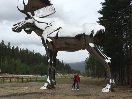 世界最大的麋鹿雕像（图1）