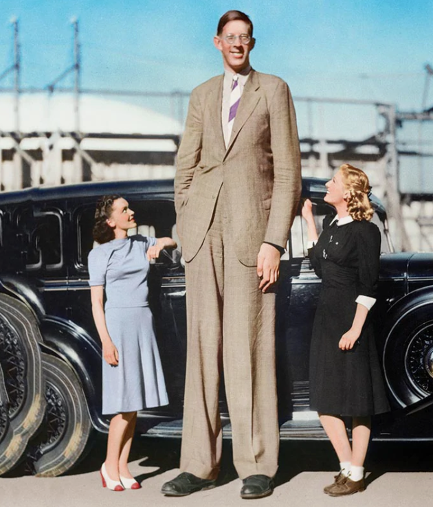 世界历史上最高的人升高达到2米7