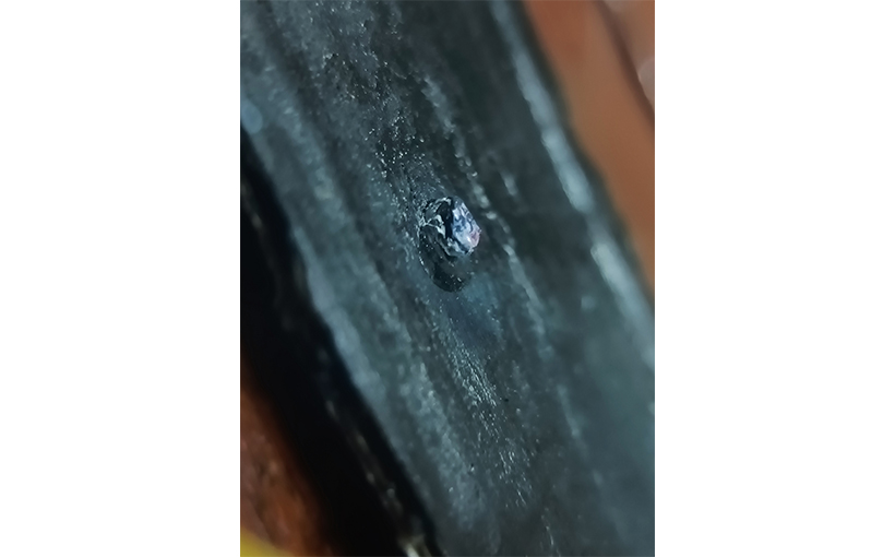 世界最小绘制于糖粒上的罗摩神肖像(图3）