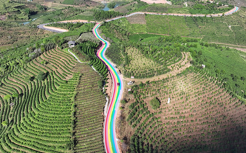面积最大的彩色茶园道路(图3）