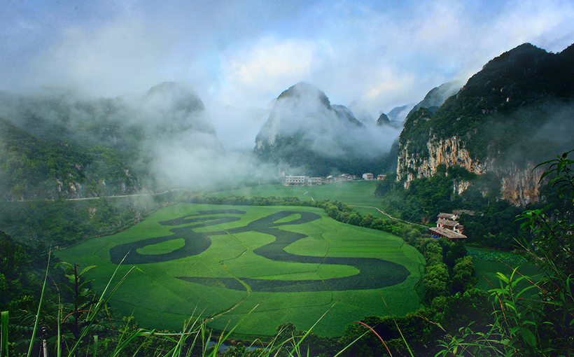 世界最大的植物汉字景观