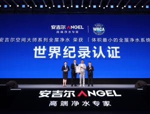 体积最小的全屋净水系统