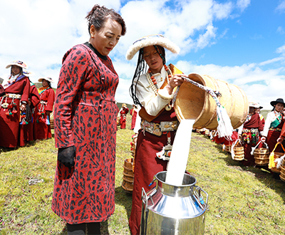 世界最大规模（万头）牦牛奶现制酥油