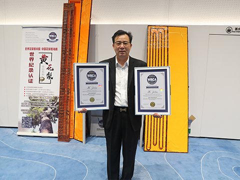 世界最长的海南黄花梨佛珠手串