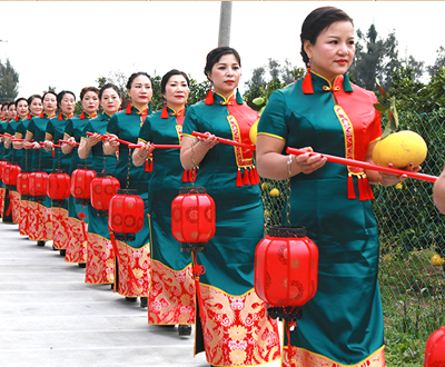 最大规模的穿旗袍采摘文旦