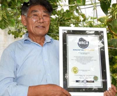 世界最小的甜瓜