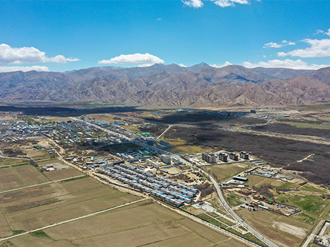 世界最大的黑青稞种植基地