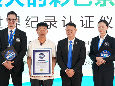 面积最大的彩色茶园道路